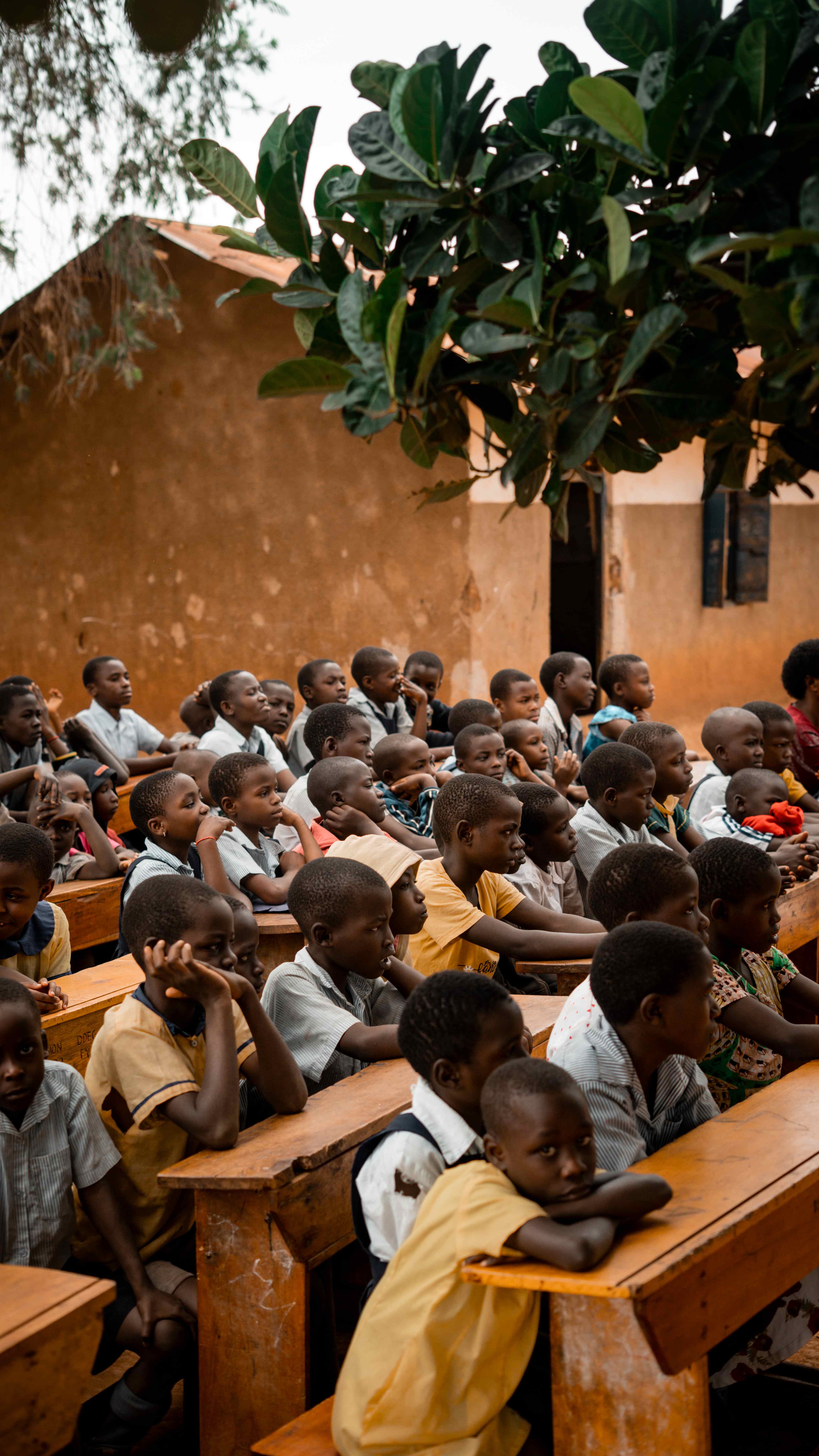 Students in outdoor classroom with banana tree
